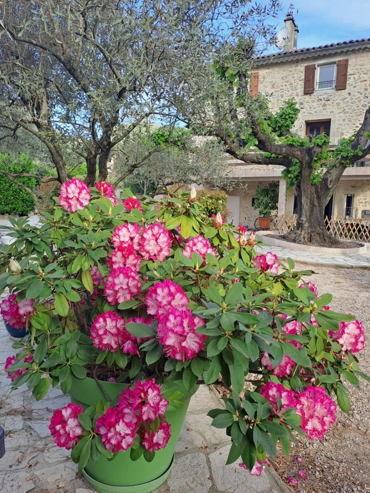 Gite 3 "Le Canal De Baza" Aux Magnolias Aubenas Bagian luar foto