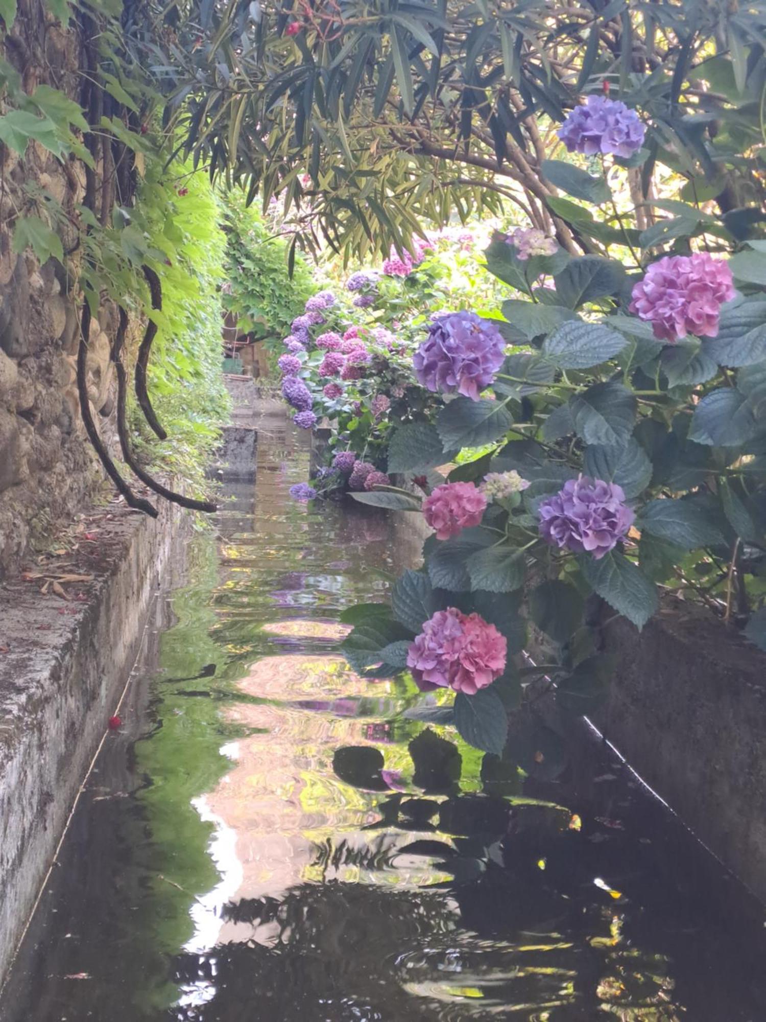 Gite 3 "Le Canal De Baza" Aux Magnolias Aubenas Bagian luar foto