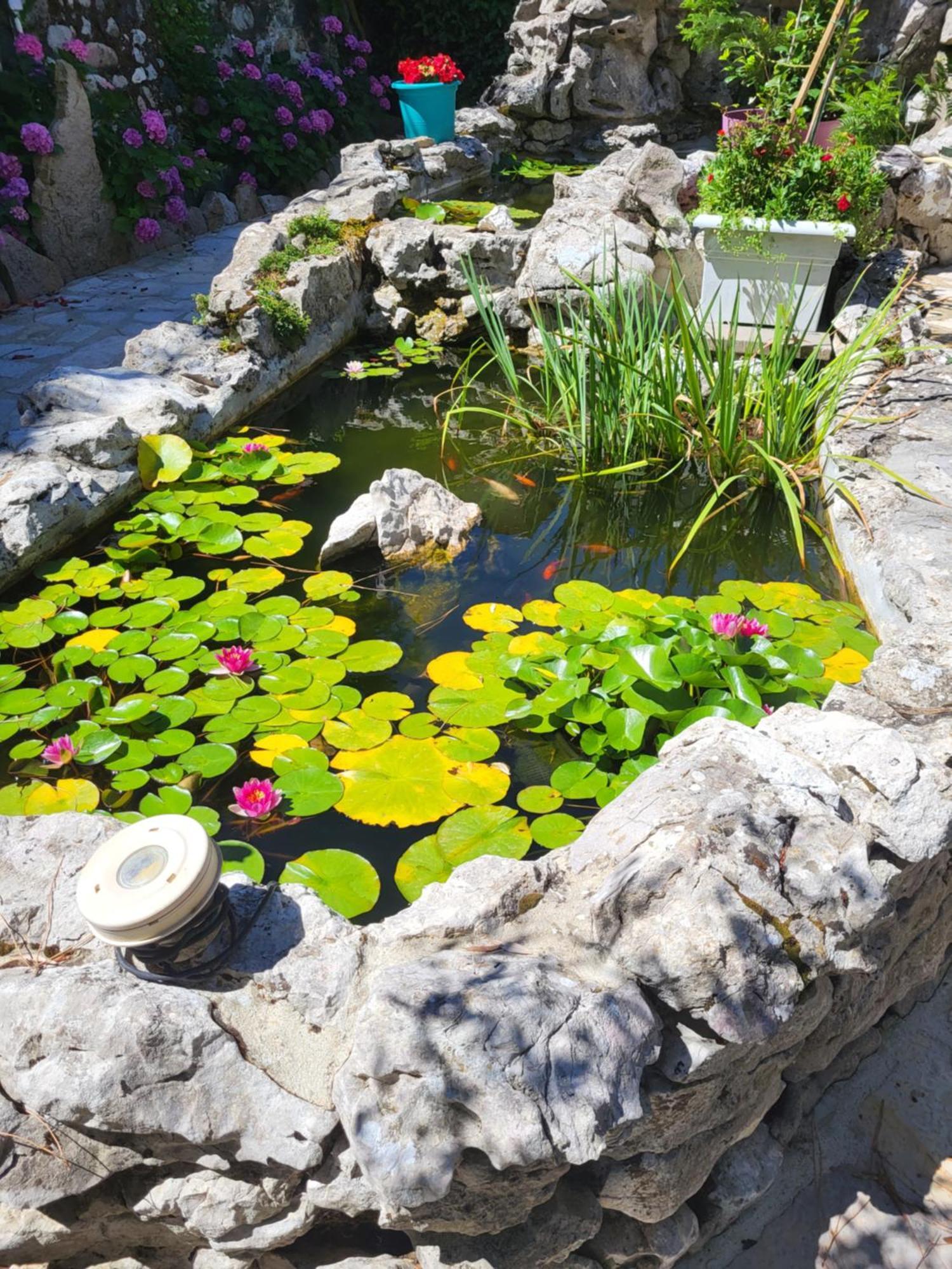 Gite 3 "Le Canal De Baza" Aux Magnolias Aubenas Bagian luar foto