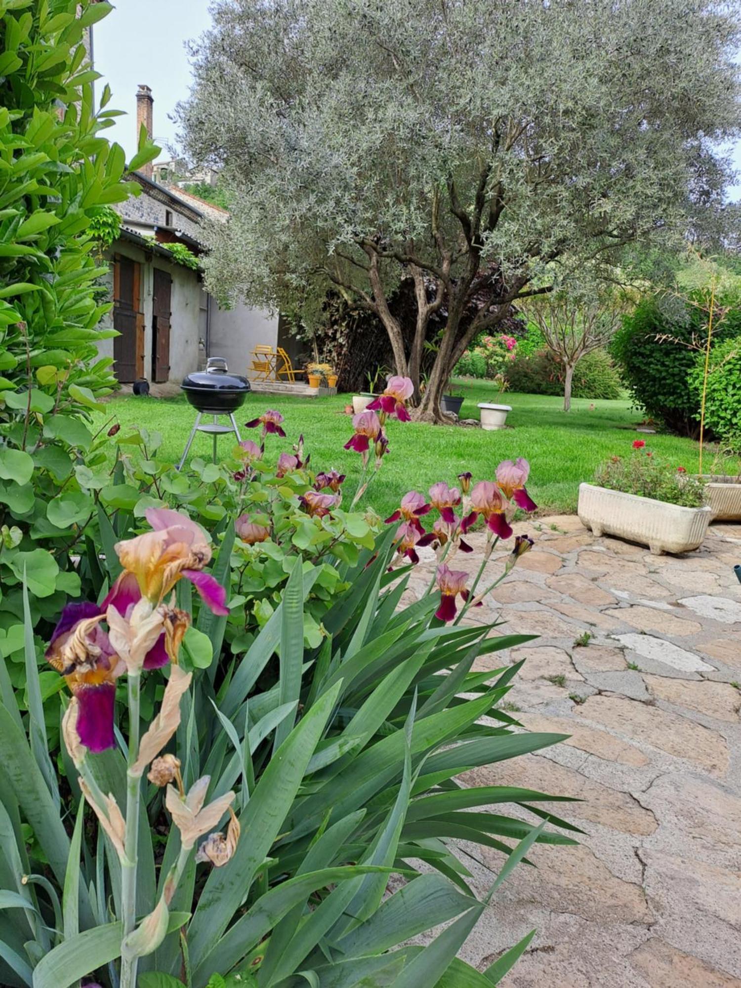 Gite 3 "Le Canal De Baza" Aux Magnolias Aubenas Bagian luar foto